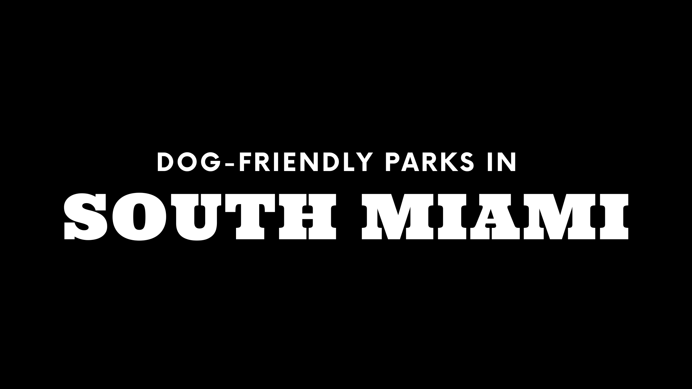 Dog-Friendly Parks in South Miami