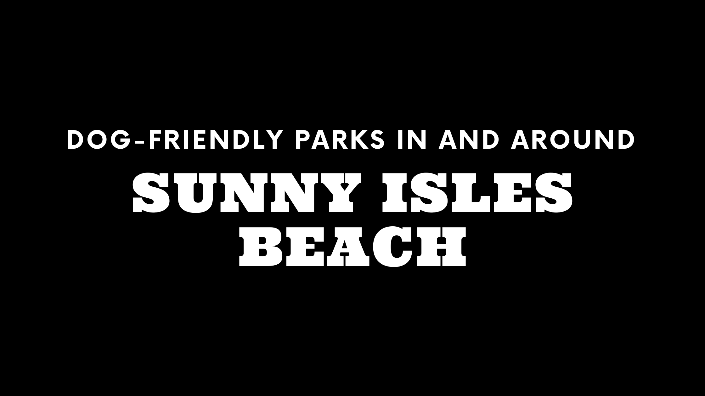 Dog-Friendly Parks In and Around Sunny Isles Beach