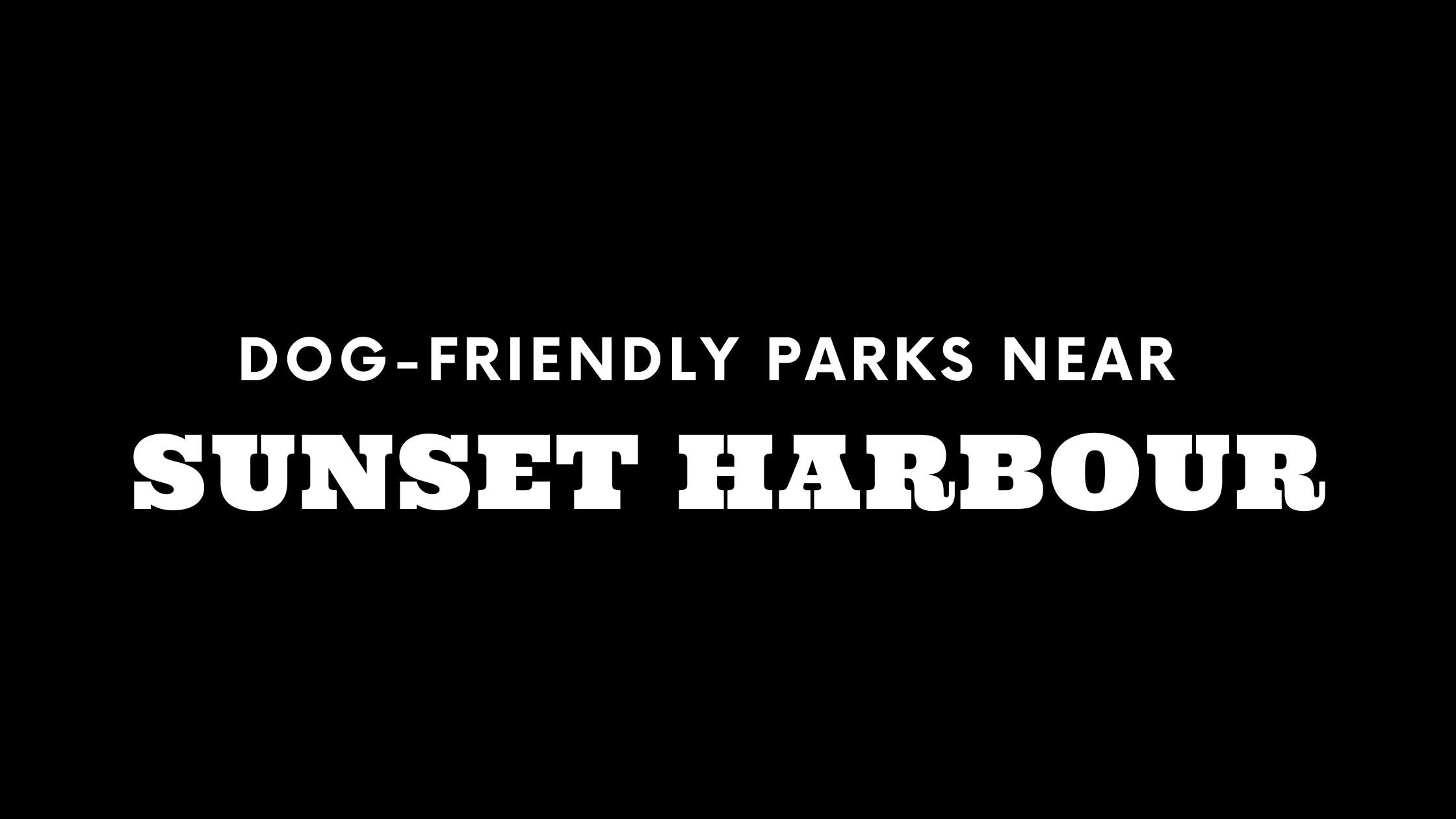 Dog-Friendly Parks Near Sunset Harbour