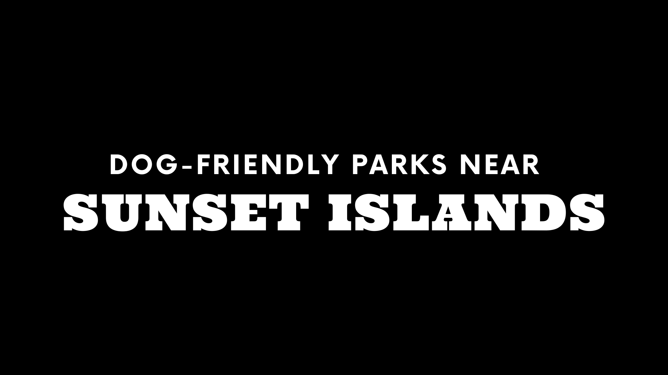 Dog-Friendly Near Sunset Islands