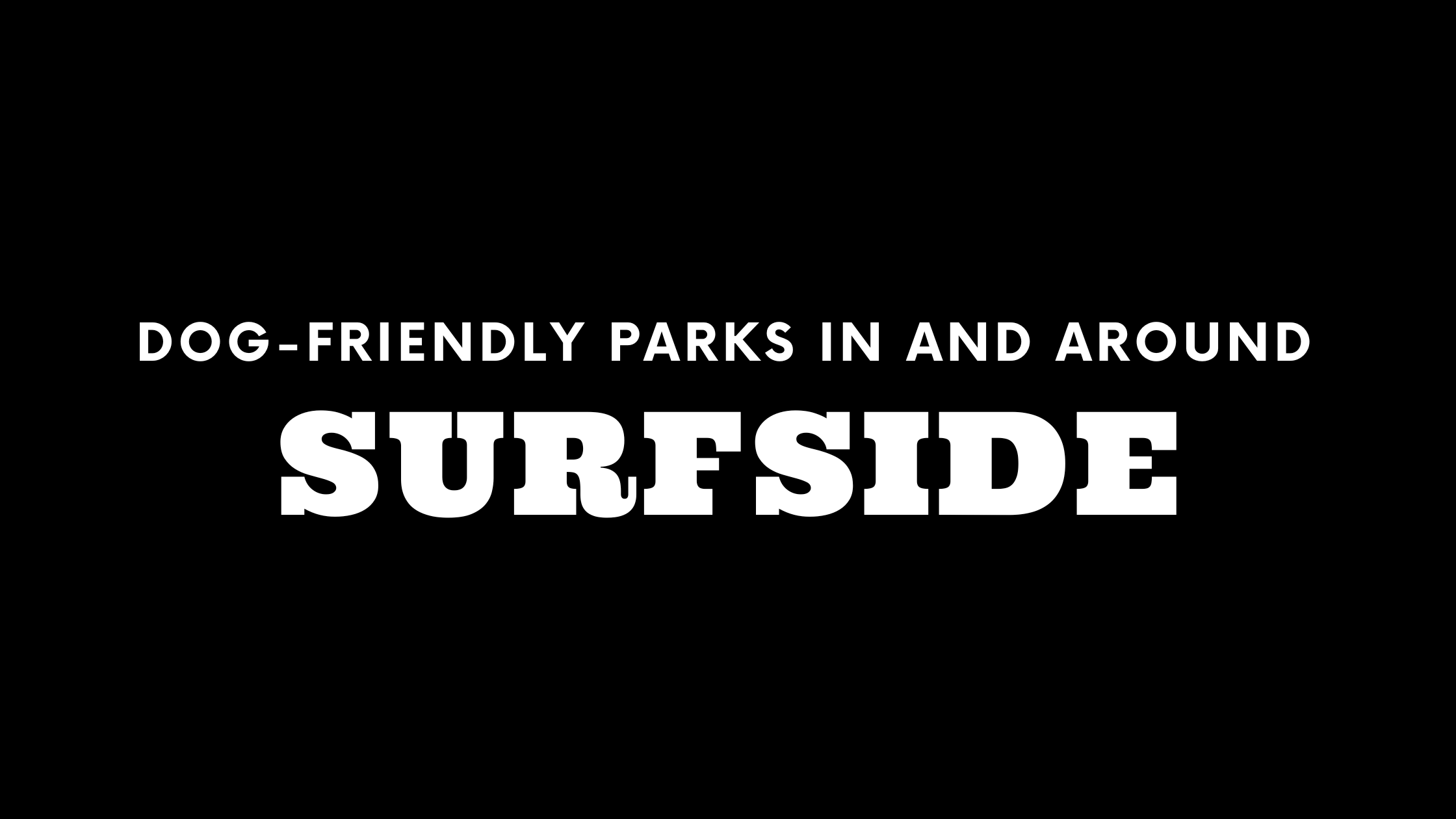 Dog-Friendly Parks In and Around Surfside