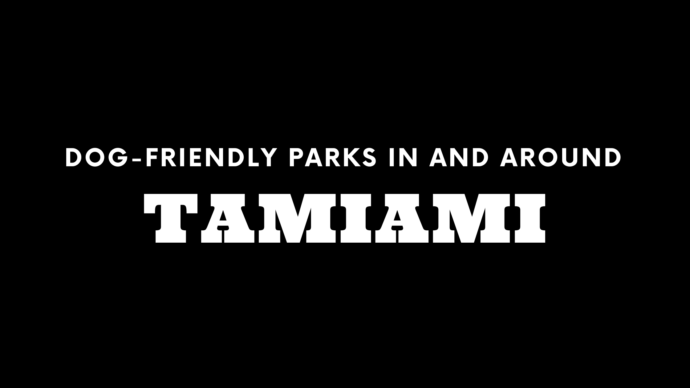 Dog-Friendly Parks In and Around Tamiami