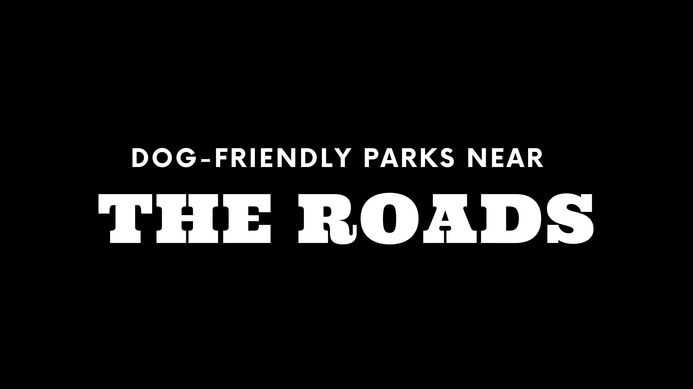 Dog-Friendly Parks Near The Roads