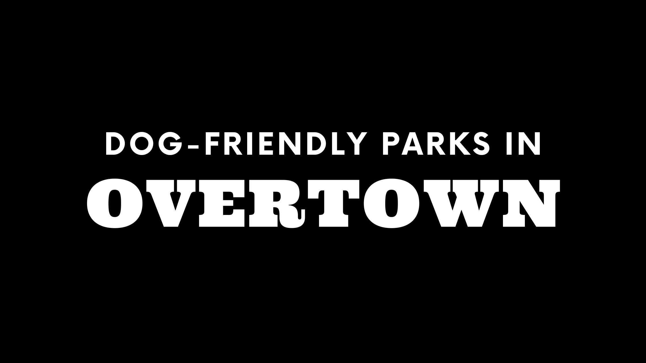 Dog-Friendly Parks in Overtown