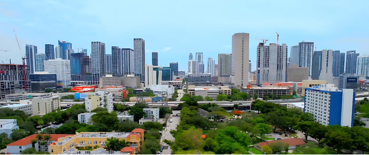 Overtown, Miami, Florida - EVERYTHING You Want to Know