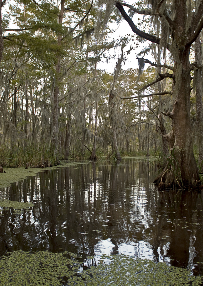 Top 5 Things You May Not Know About Eastern Shores
