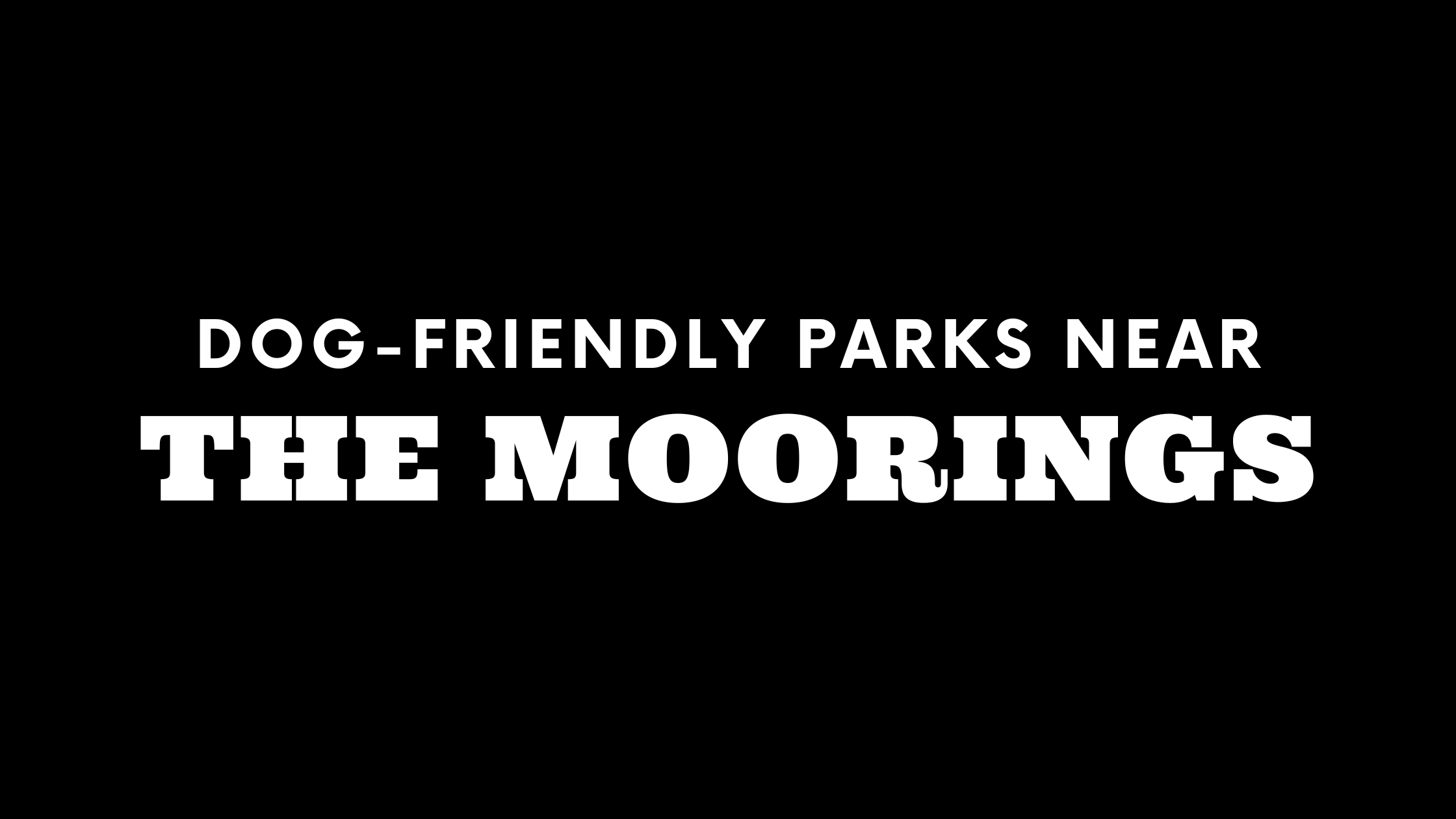 Dog-Friendly Parks Near The Moorings