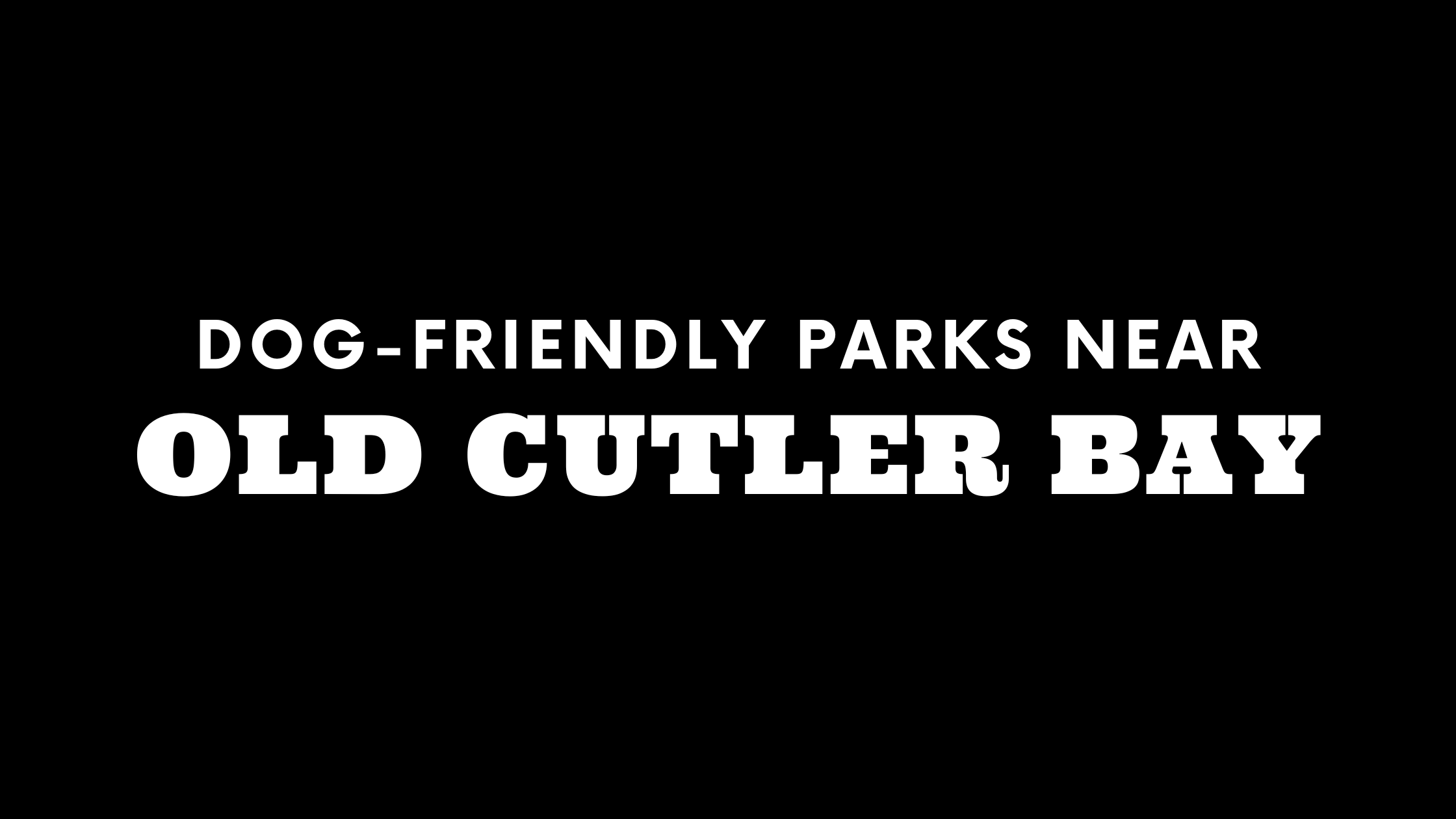 Dog-Friendly Parks Near Old Cutler Bay