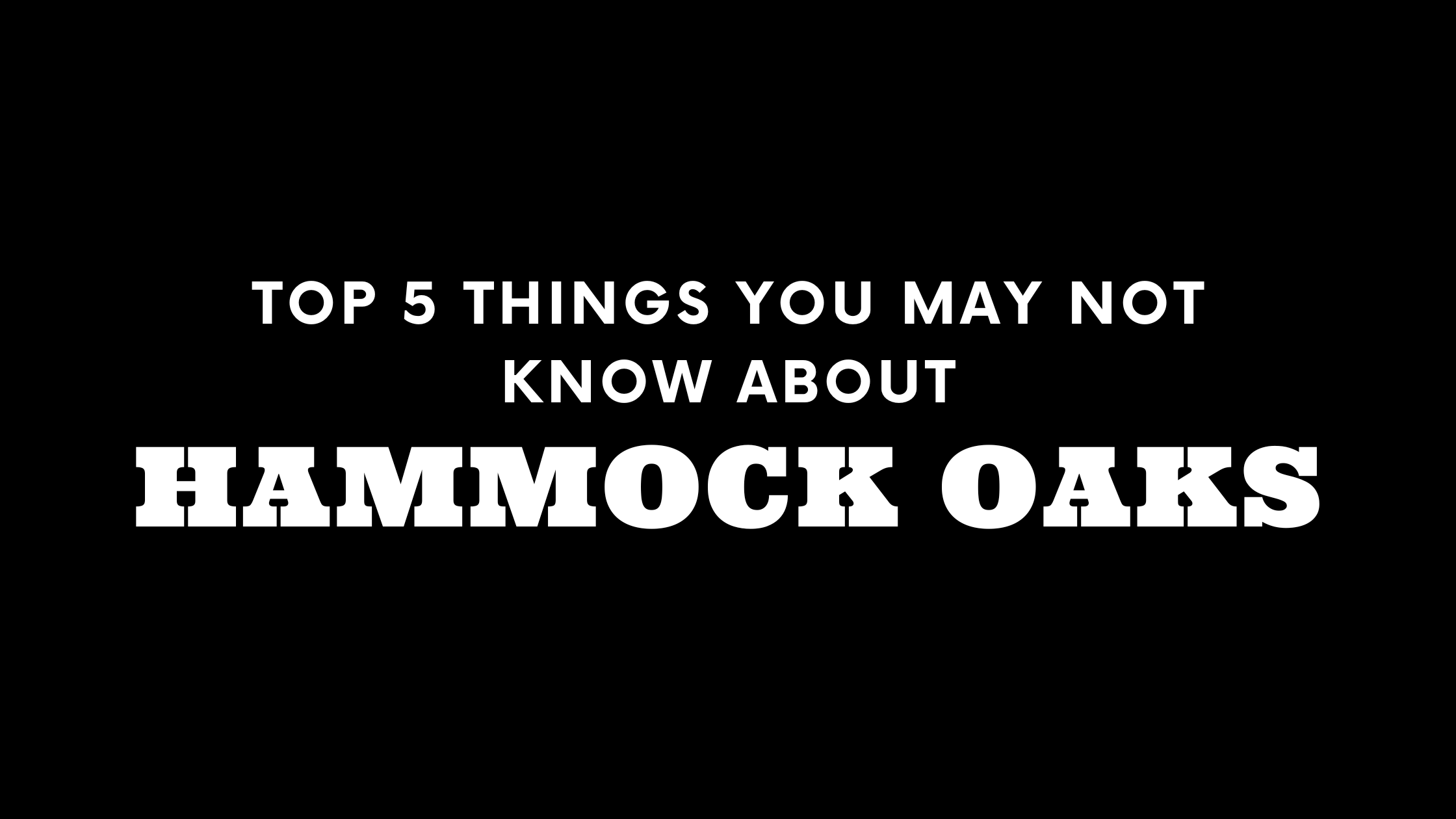 Top 5 Things You May Not Know About Hammock Oaks