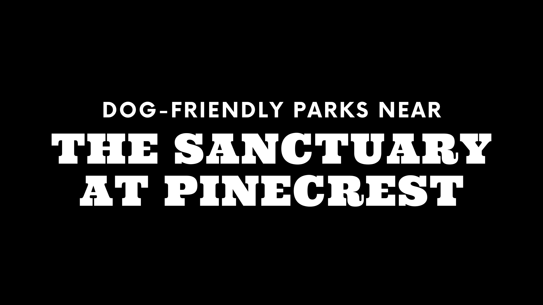 Dog-Friendly Parks Near The Sanctuary at Pinecrest 