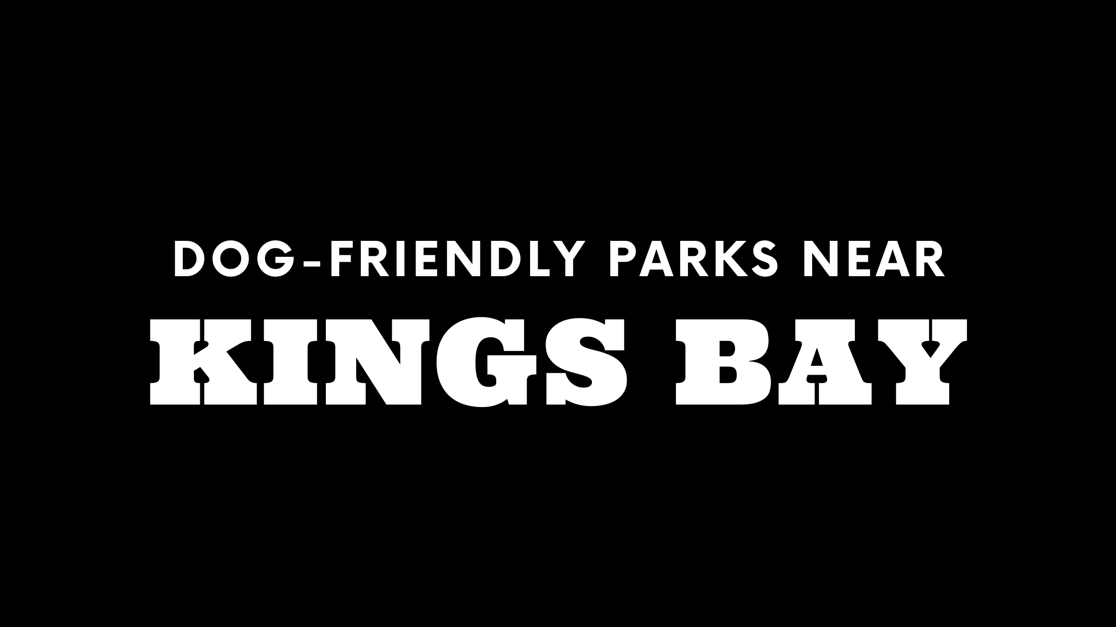 Dog-Friendly Parks Near Kings Bay