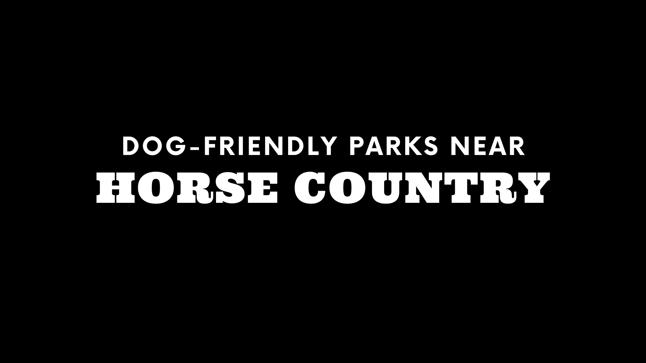Dog-Friendly Parks Near Horse Country
