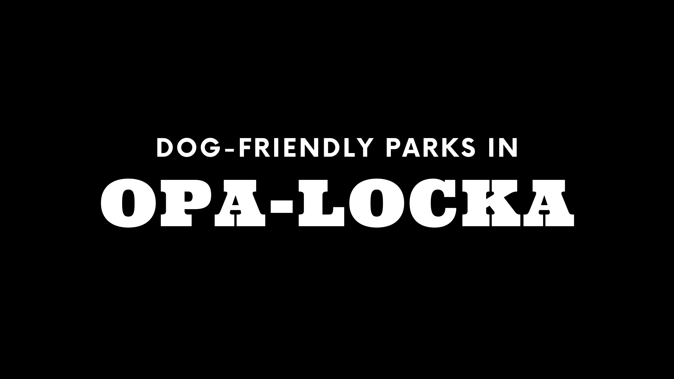 Dog-Friendly Parks in Opa-Locka