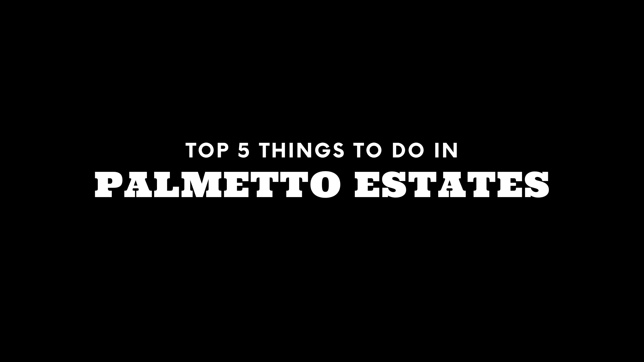 Top 5 Things To Do in Palmetto Estates
