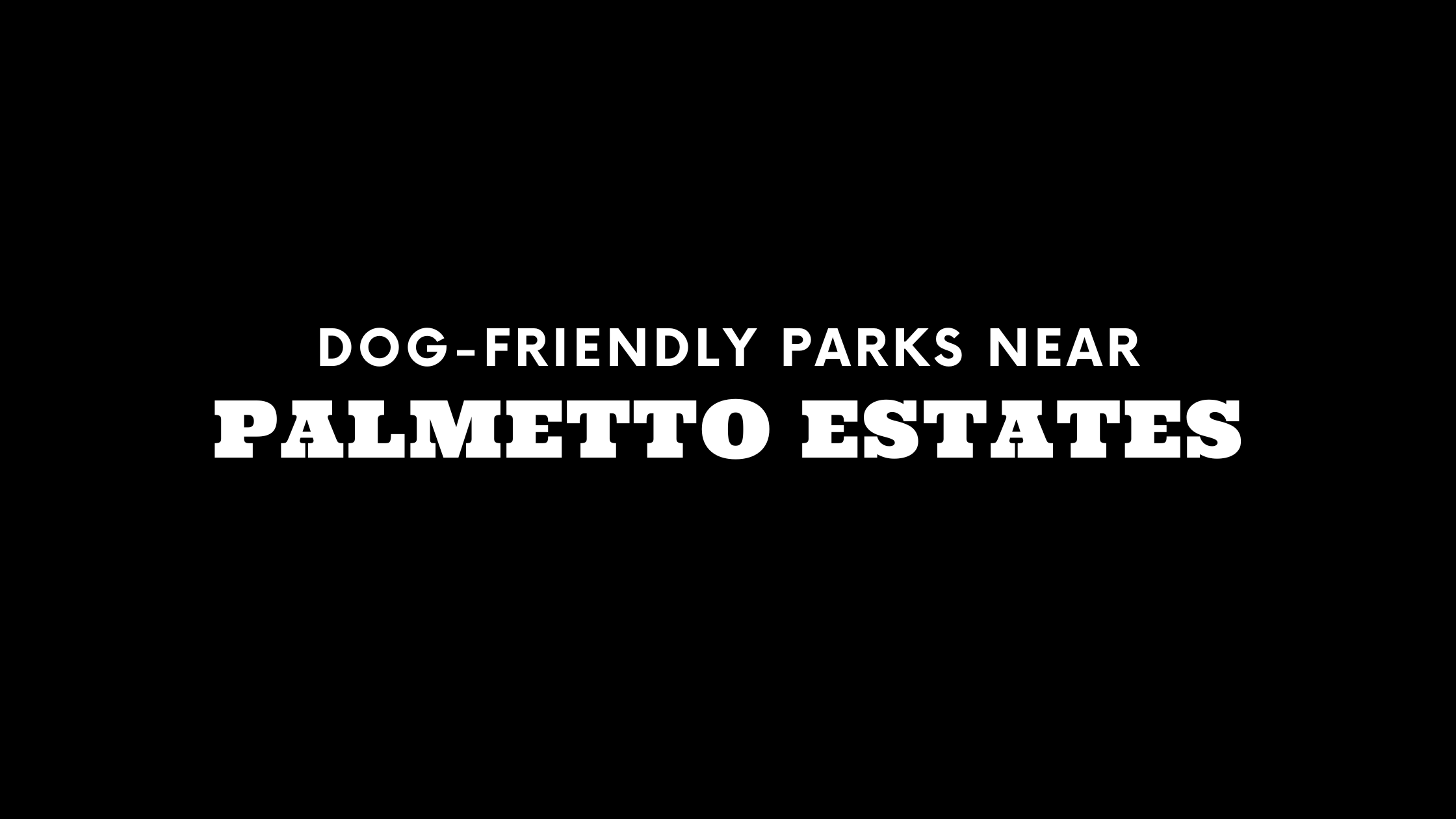 Dog-Friendly Parks Near Palmetto Estates