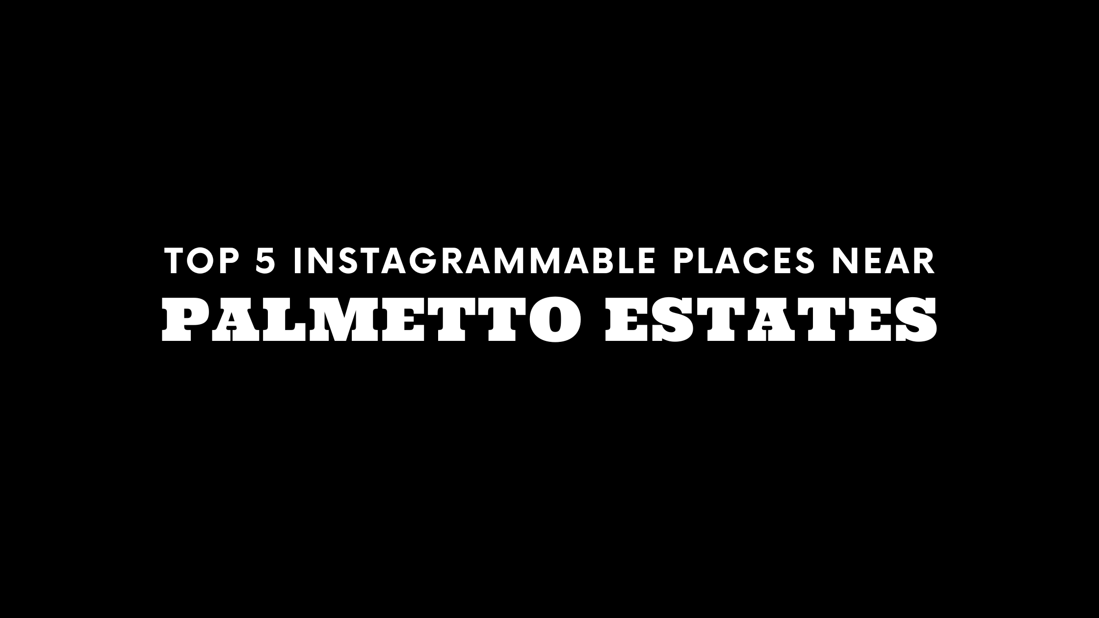 Top 5 Instagrammable Places Near Palmetto Estates