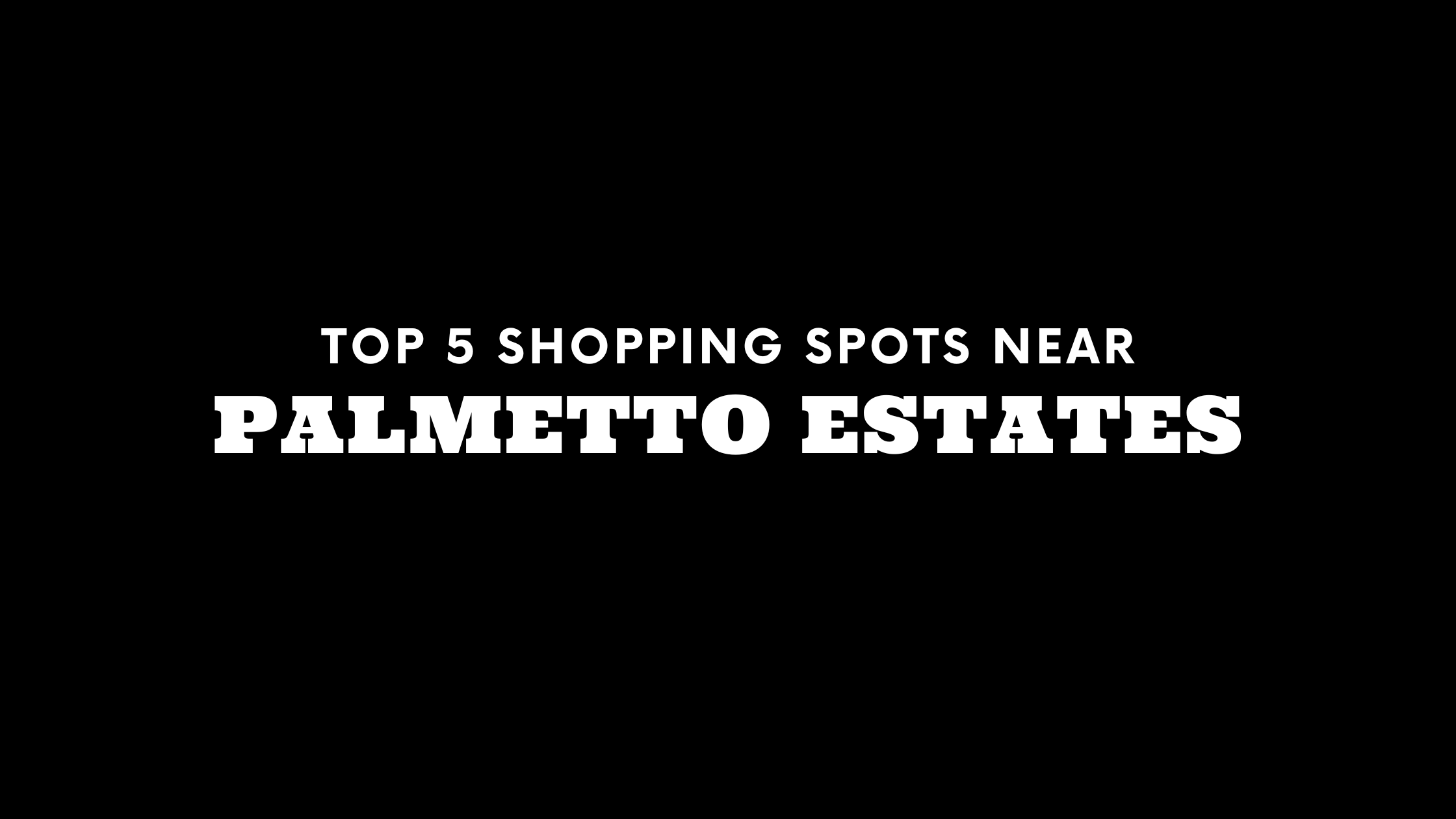 Top 5 Shopping Spots Near Palmetto Estates