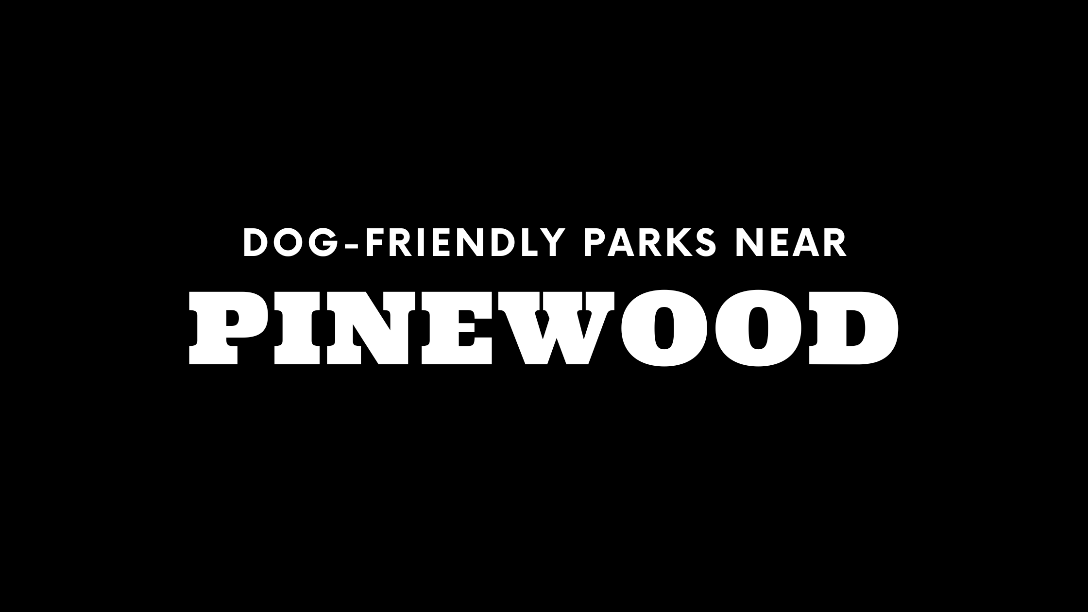 Dog-Friendly Parks Near Pinewood
