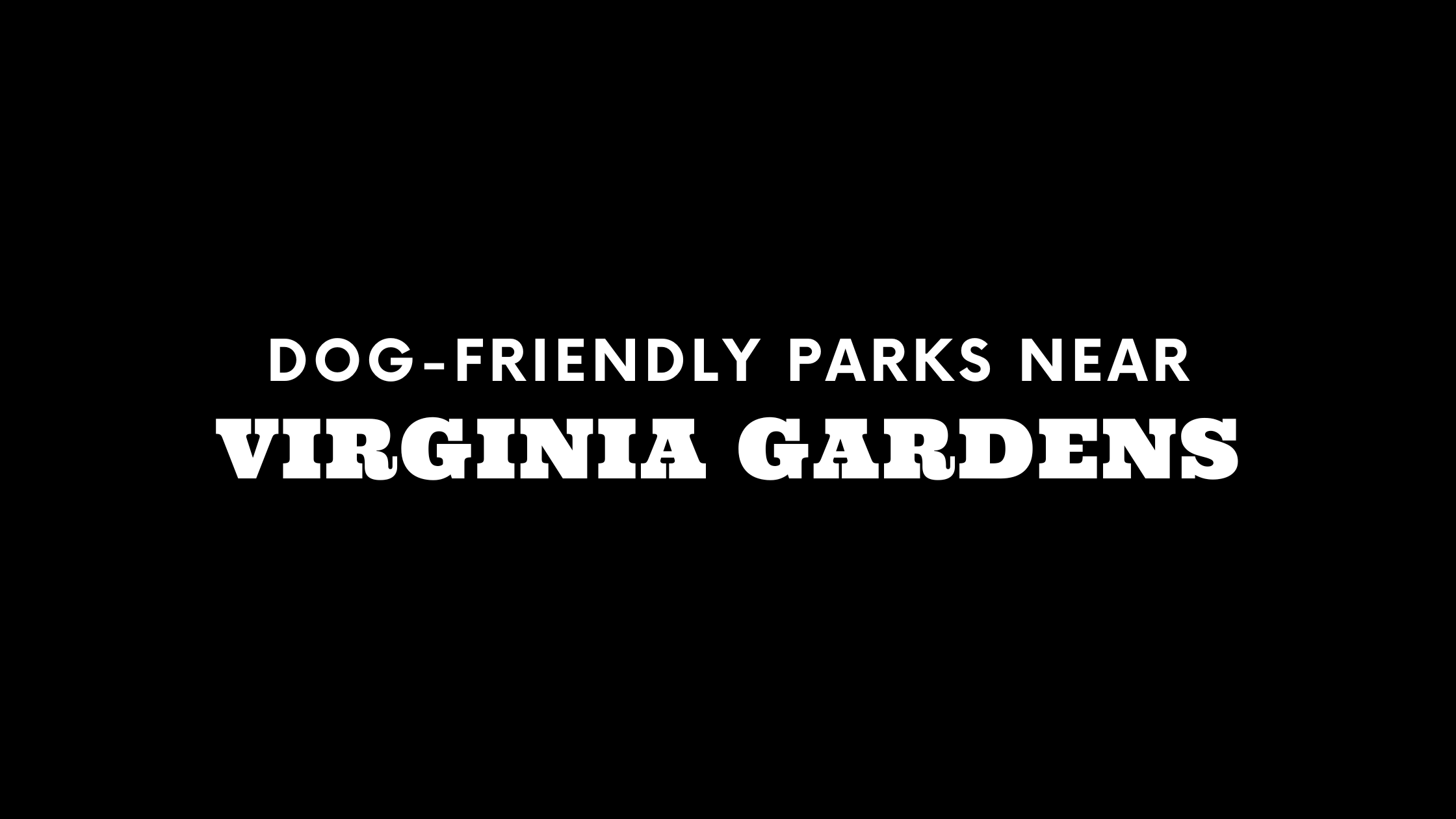 Dog-Friendly Parks Near Virginia Gardens