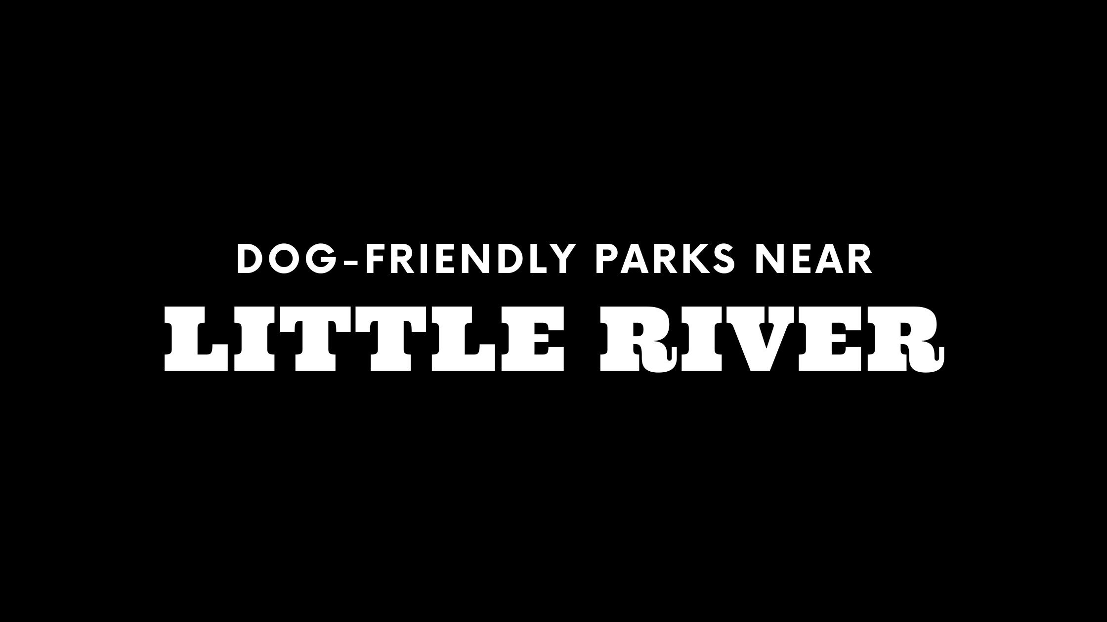 Dog-Friendly Parks Near Little River