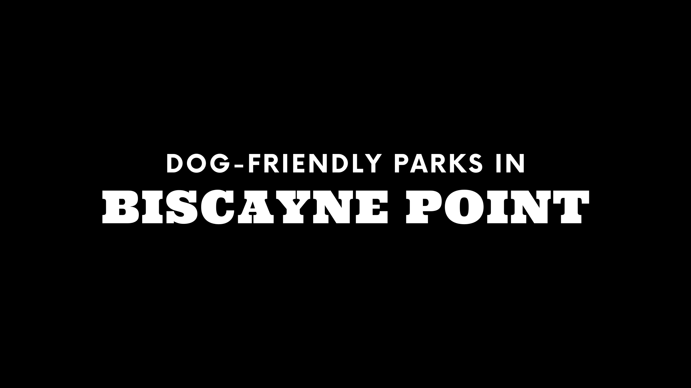 Dog-Friendly Parks in Biscayne Point