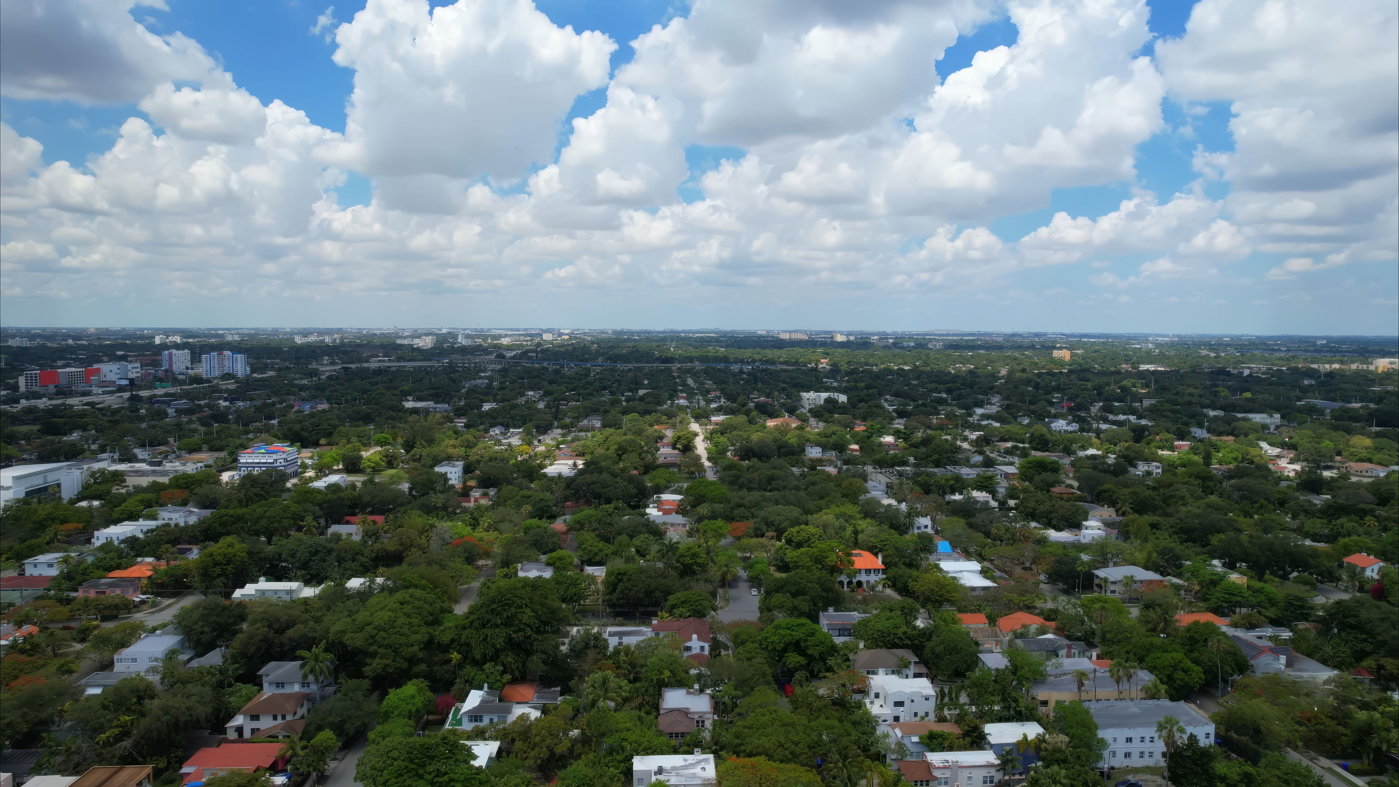Buena Vista, Miami — A Cheat Sheet for Buyers, Visitors, & the Curious 