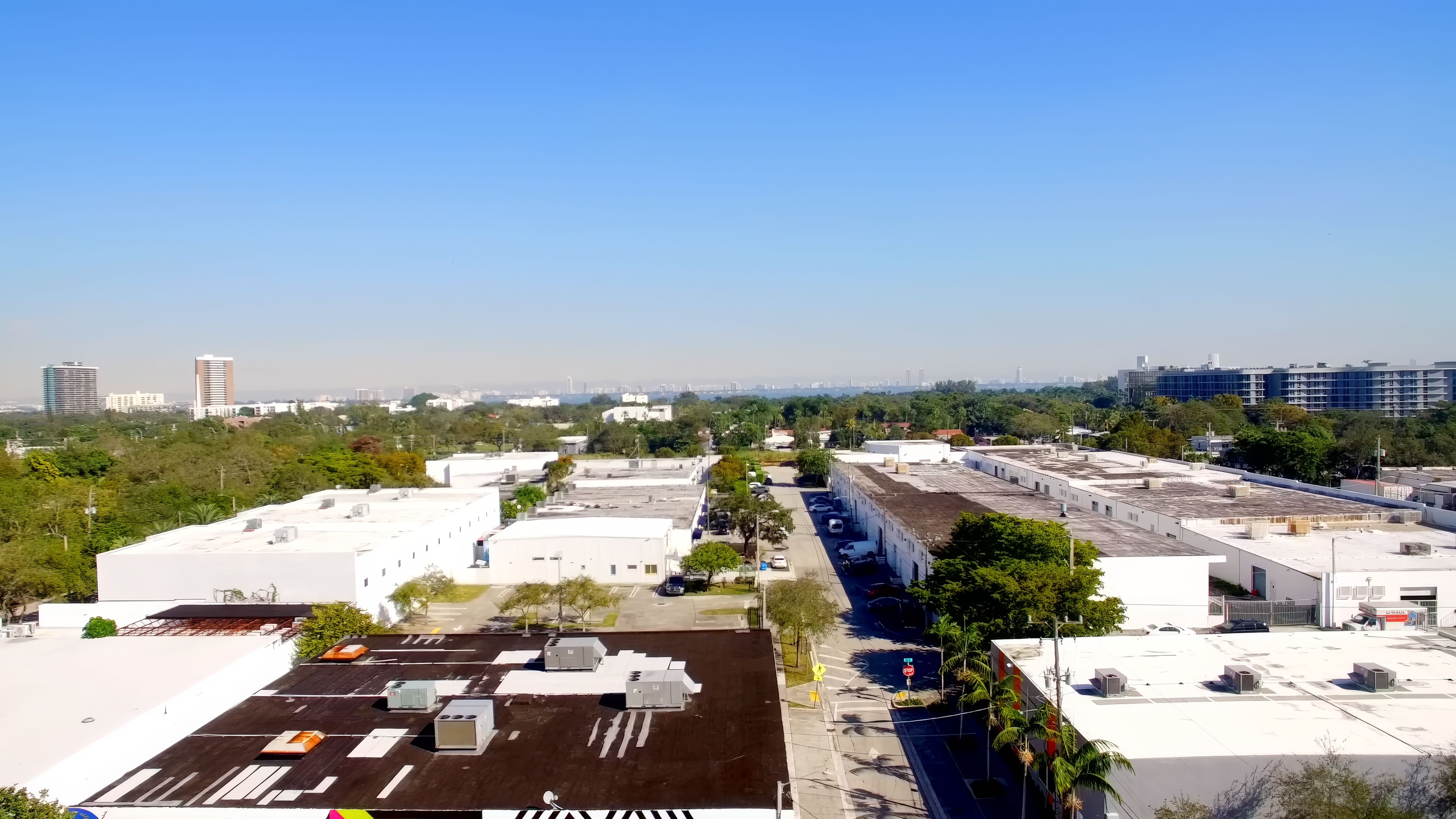 Little Haiti, Miami — A Cheat Sheet for Buyers, Visitors, & the Curious 