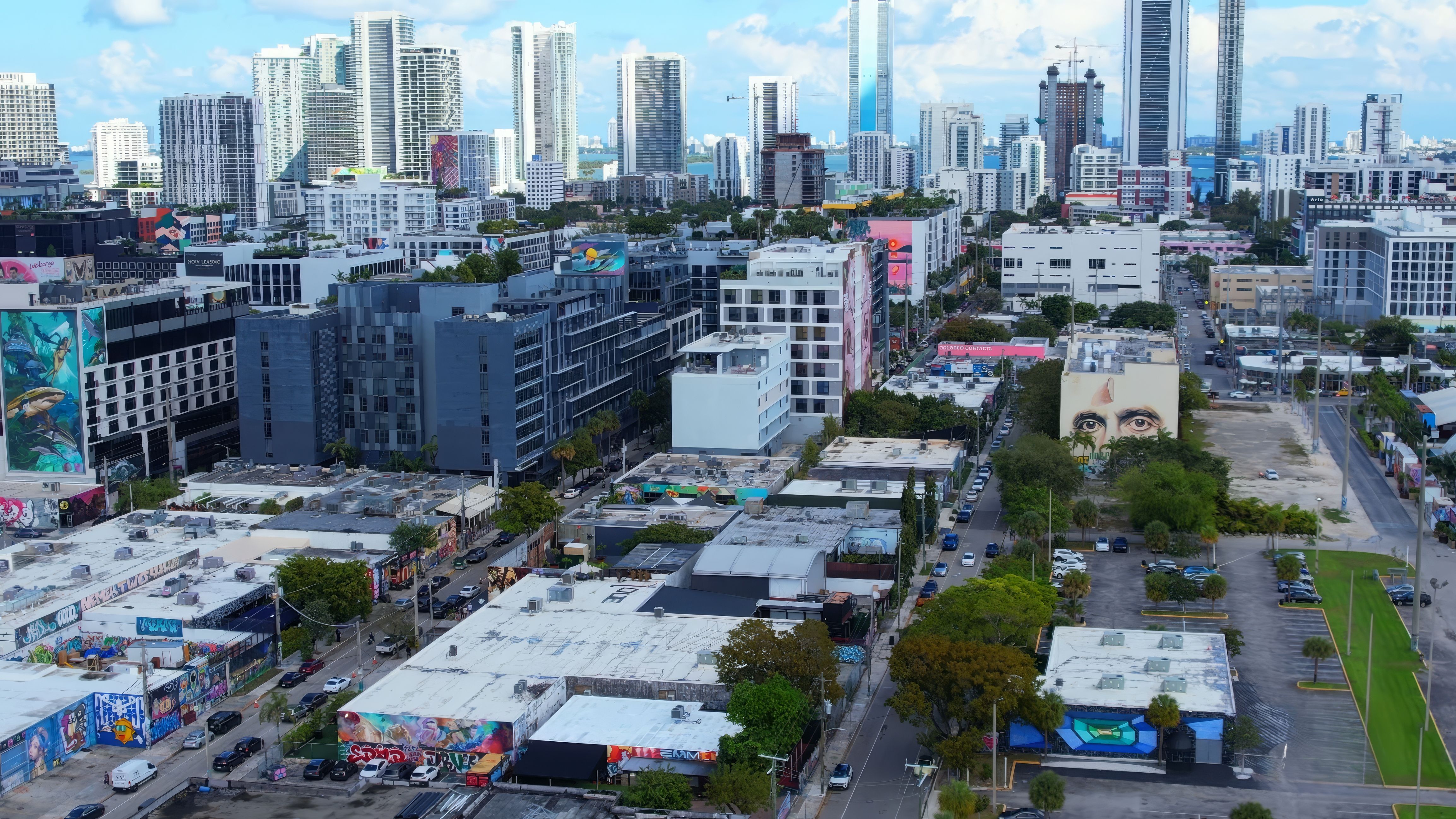 Wynwood, Miami — A Cheat Sheet for Buyers, Visitors, & the Curious