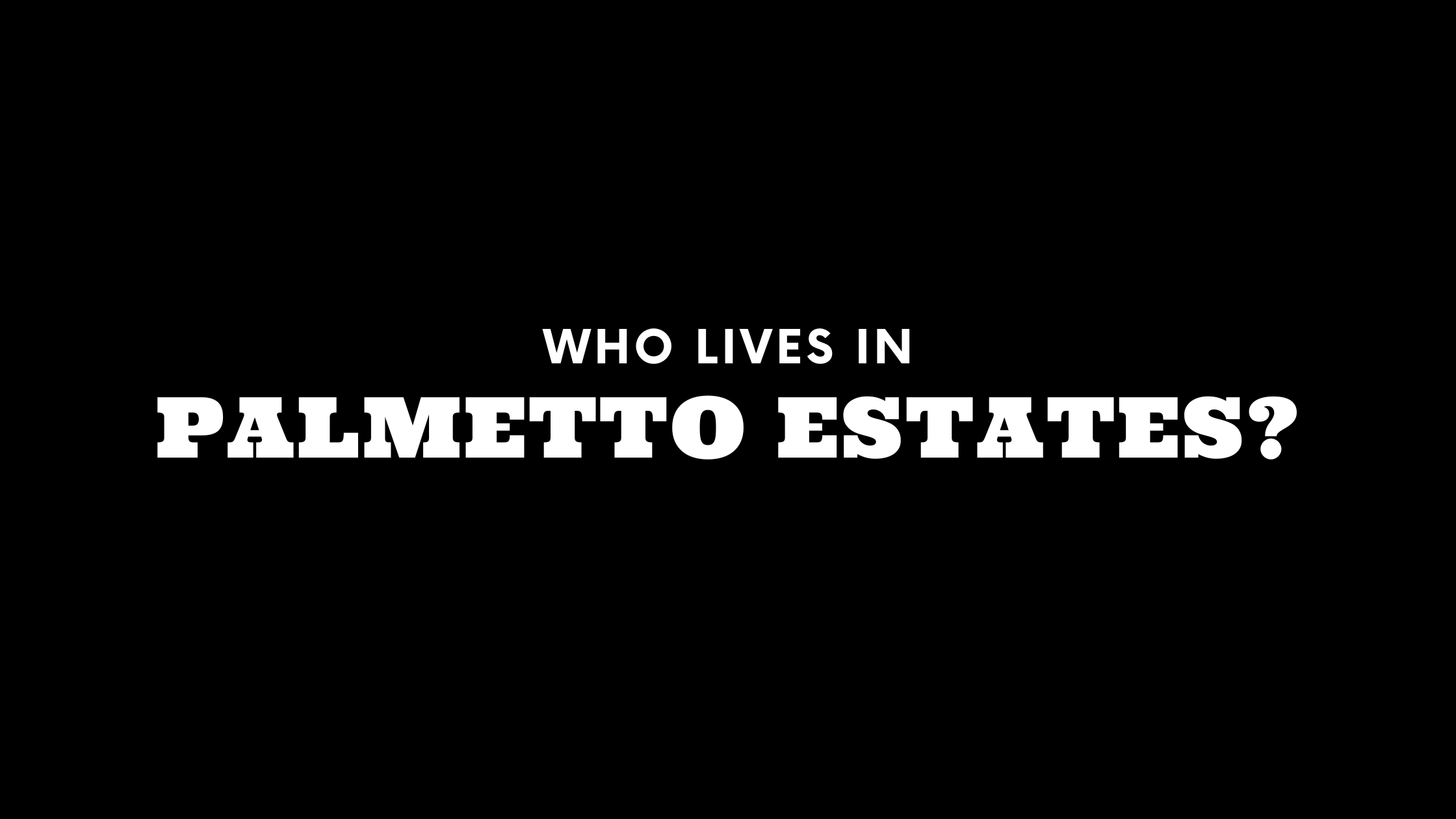 Who Lives in Palmetto Estates? (It's Not Who You Think!)