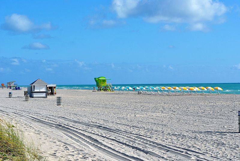 Top Things to Do in Miami