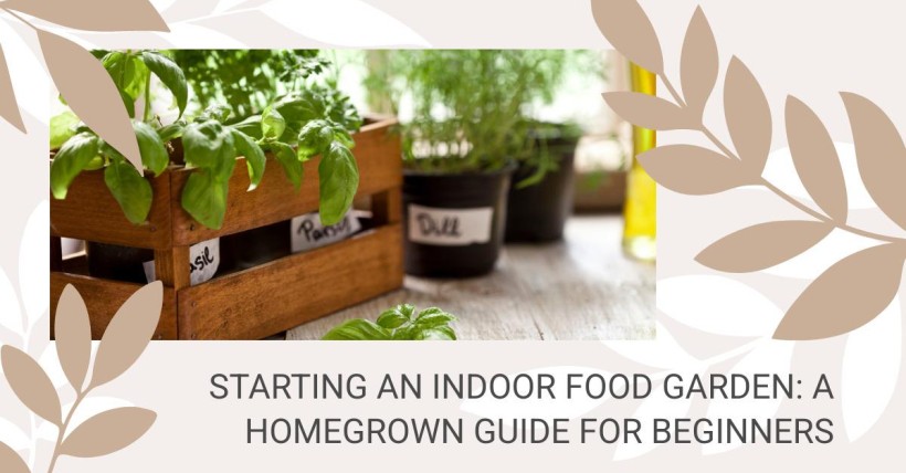 Starting an Indoor Food Garden: A Homegrown Guide for Beginners