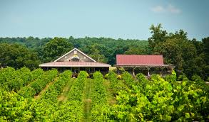 Visit a winery in North Carolina