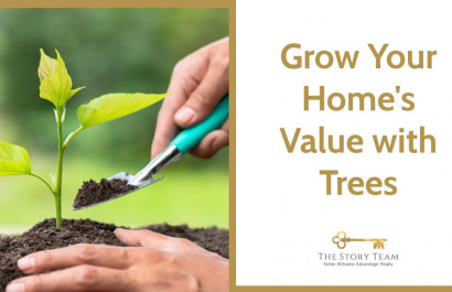 Grow Your Home's Value with Trees