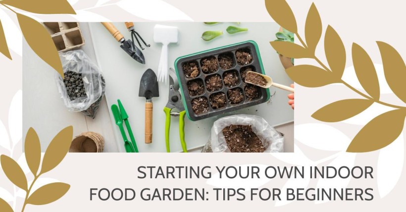 Starting Your Own Indoor Food Garden: Tips for Beginners