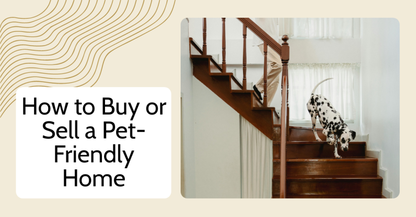 How to Buy or Sell a Pet-Friendly Home