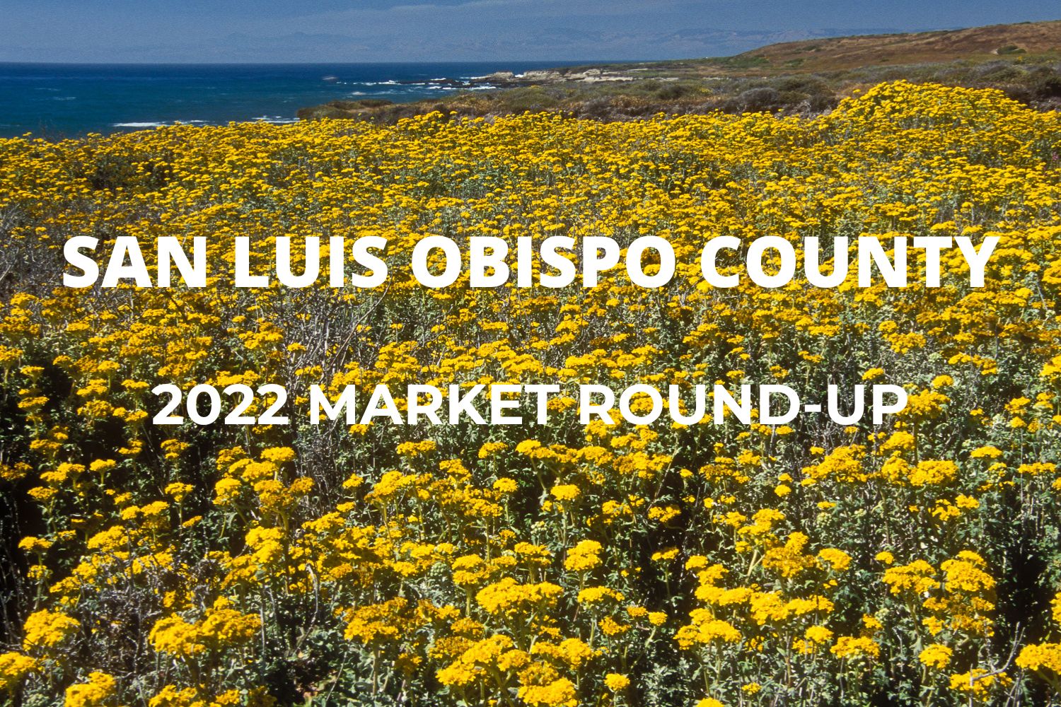 2022 San Luis Obispo County Market Round-Up