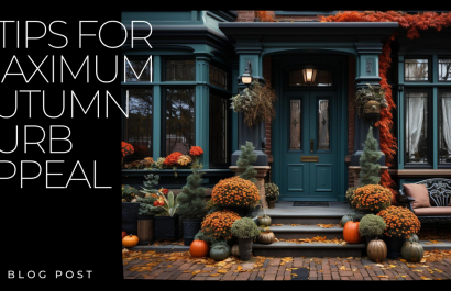 7 Tips for Maximum Autumn Curb Appeal