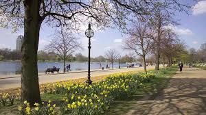 Image result for hyde park