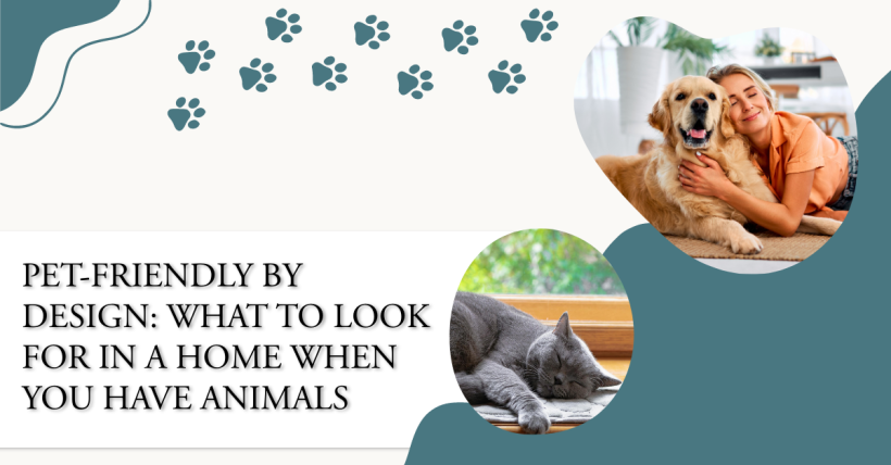 Pet-Friendly by Design: What to Look for in a Home When You Have Animals