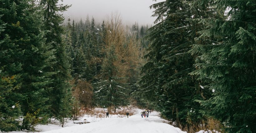 Top Christmas Light Displays & Holiday Events in Greater Seattle & Eastside 2025