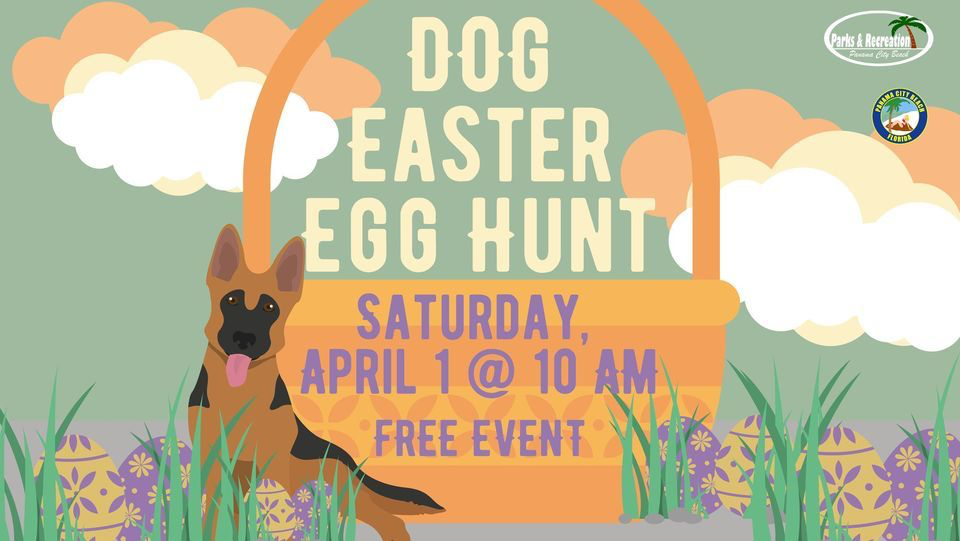 Dog Easter Egg Hunt , 1 April | Event in Panama City | AllEvents.in