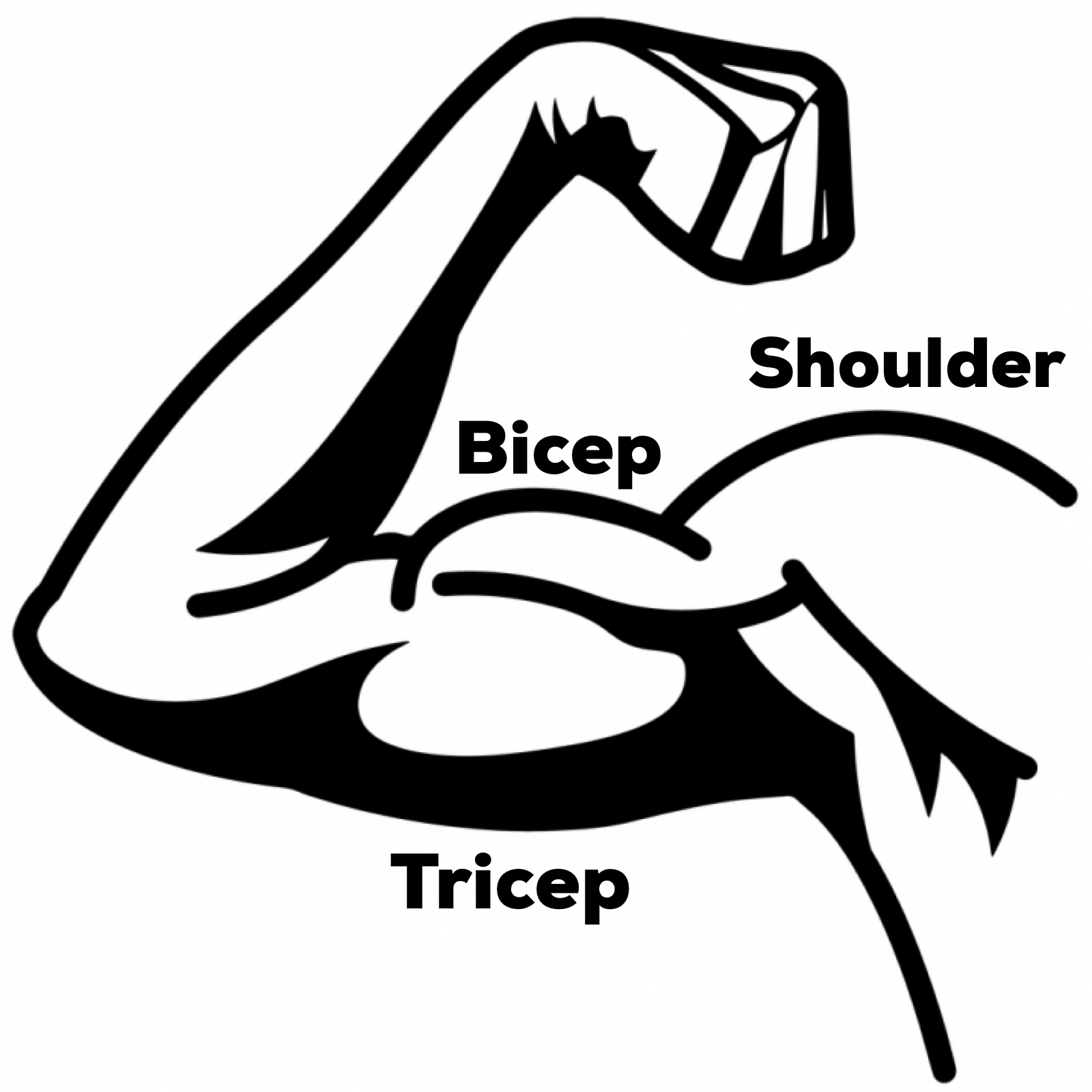 Økonomi Synlig forræderi The 8 Best Kettlebell Exercises to Shape Your Arms