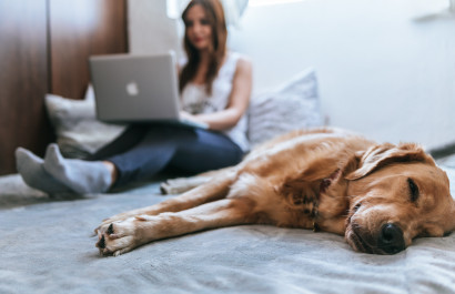Local Boston Businesses You Can Support From Home