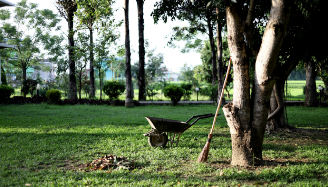 A wheelbarrow used after buying a house.