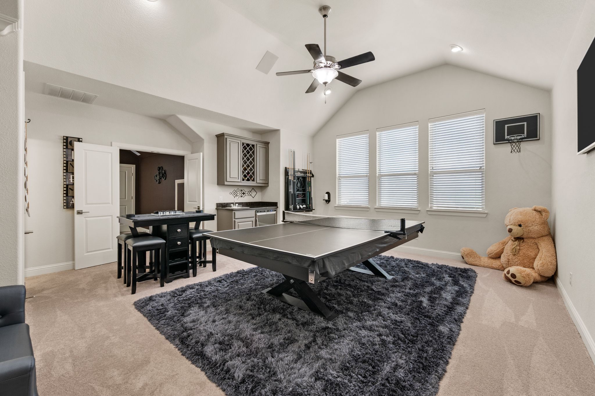 Theater and Game Rooms 2
