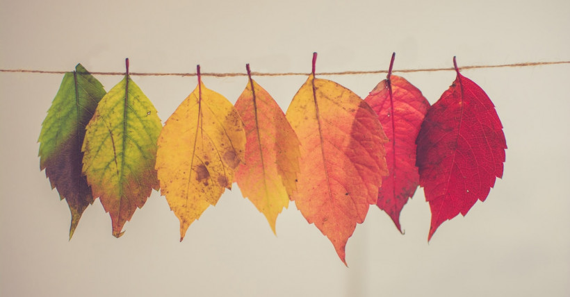 Fall Home Maintenance Checklist