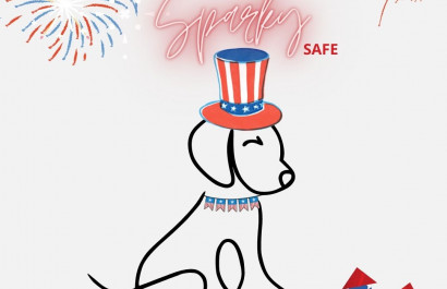 San Diego Pet Safety Over the Fourth of July 