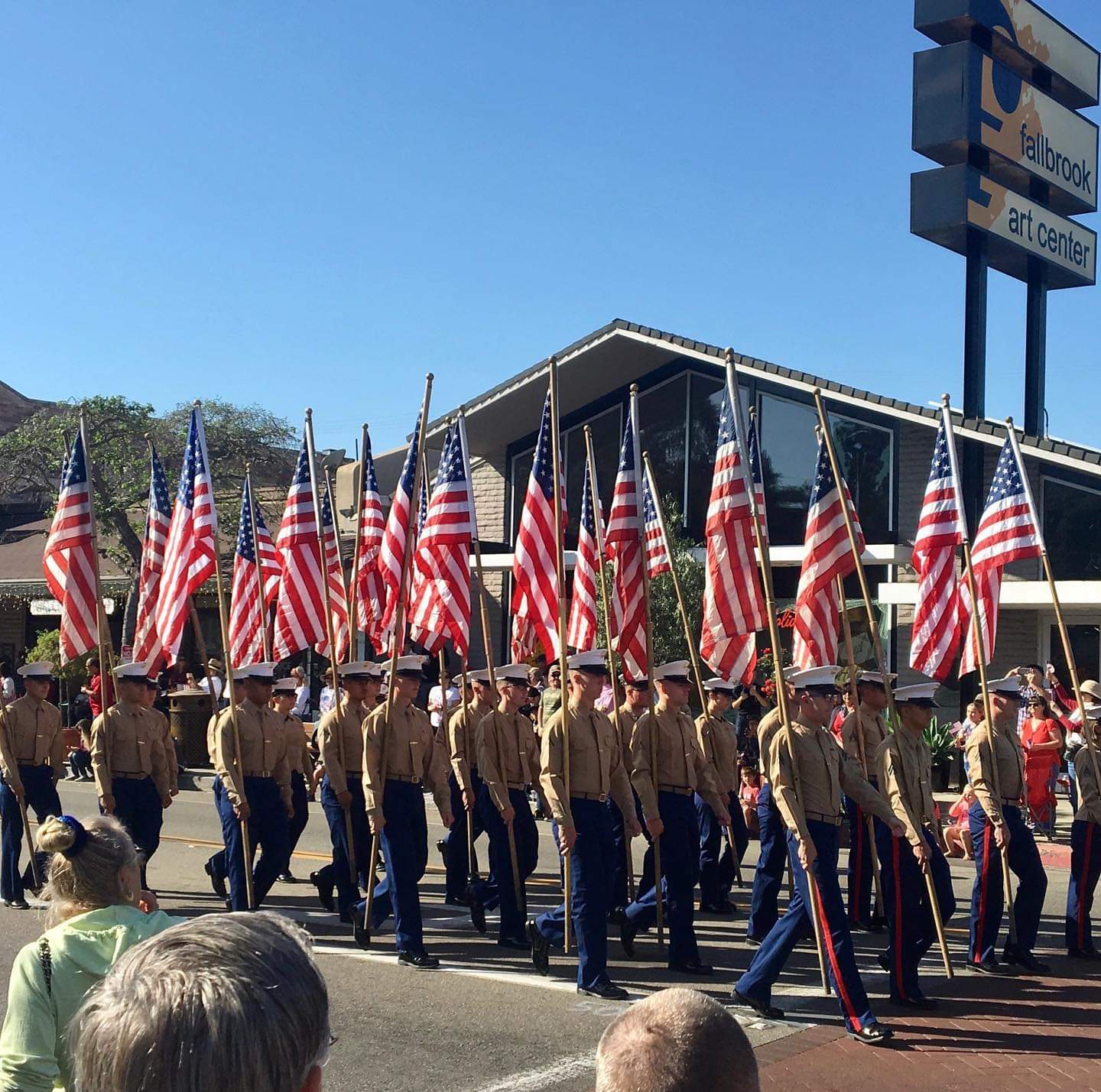 Fallbrook Veterans Day Ceremony 