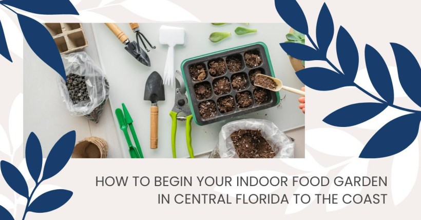 How to Begin Your Indoor Food Garden in Central Florida to the Coast