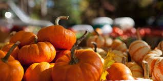 Image result for fall pictures